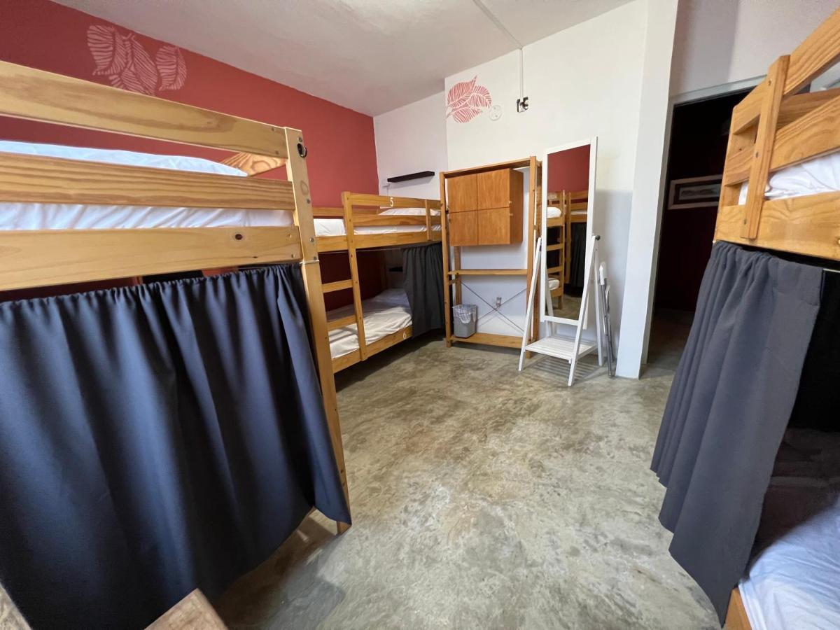 Casa Coral Vandrerhjem Luquillo Eksteriør bilde